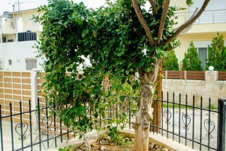 Sun By The Sea 2 Apartamento Agia Pelagia  Exterior foto